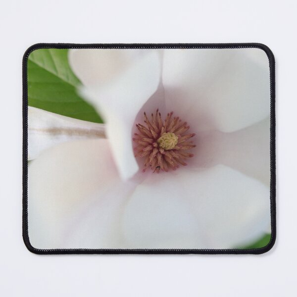Item preview, The delightful centre of a magnolia designed and sold by Susan Henry.