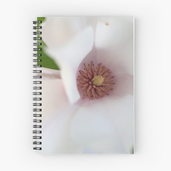 Item preview, El encantador centro de una magnolia designed and sold by Susan Henry.