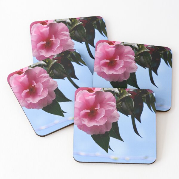 Item preview, Pink camellia in Julie's garden designed and sold by Susan Henry.