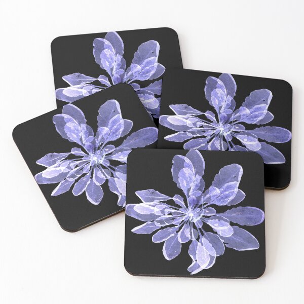 Item preview, Arabidopsis thaliana plant scan designed and sold by alepandaw.