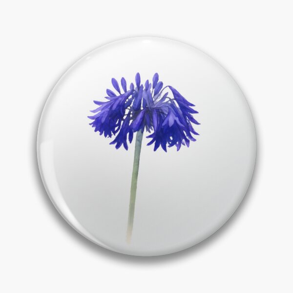 Item preview, Agapanthus ‘Bressingham Blue’ designed and sold by HOMETOWN86.