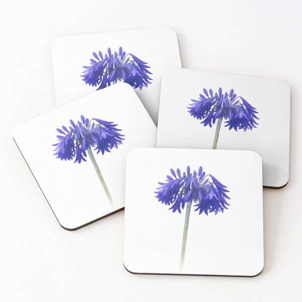 Item preview, Agapanthus ‘Bressingham Blue’ designed and sold by HOMETOWN86.