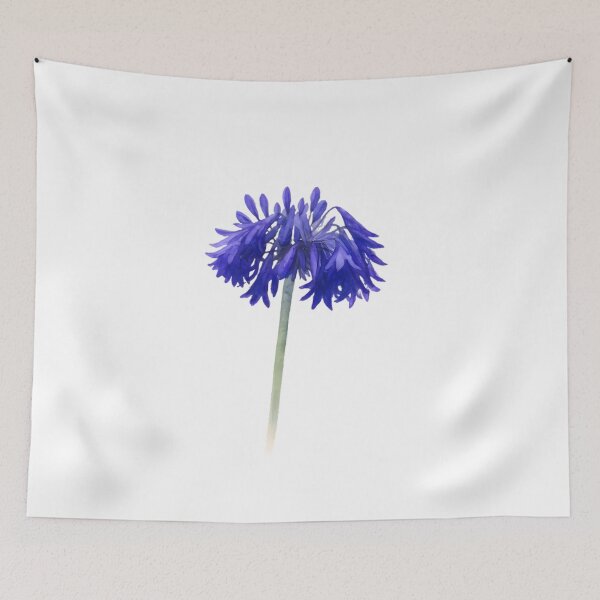 Item preview, Agapanthus ‘Bressingham Blue’ designed and sold by HOMETOWN86.