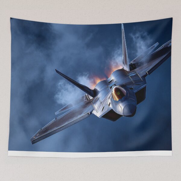 Item preview, F-22 Raptor Gradient Flight designed and sold by Skyframe Aviation.