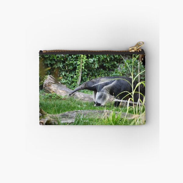 Artikelvorschau, Ameisenbär auf Entdeckung – Ein Prachtkerl der Natur / Swiss Artwork Photography entworfen und verkauft von Raphael Wolf.