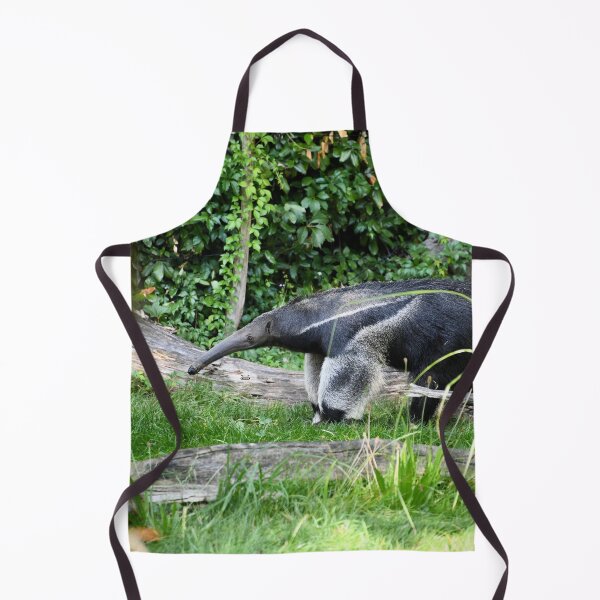 Item preview, Anteater on a discovery – A magnificent specimen of nature / Swiss Artwork Photography designed and sold by Raphael Wolf.