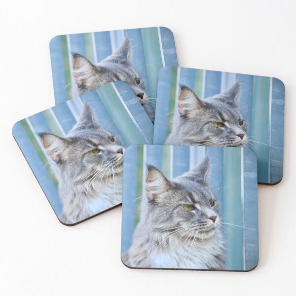 Item preview, Grey Maine Coon – Majestic Elegance / Swiss Artwork Photography designed and sold by Raphael Wolf.