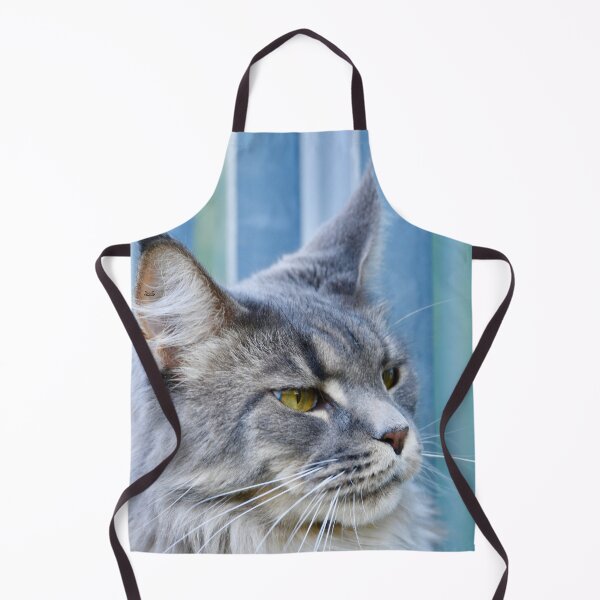 Item preview, Grey Maine Coon – Majestic Elegance / Swiss Artwork Photography designed and sold by Raphael Wolf.