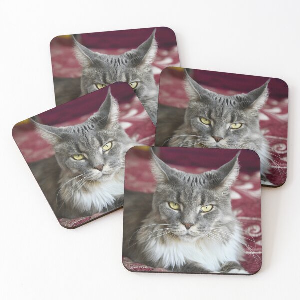 Item preview, Grey Maine Coon – Intense gaze in red / Swiss Artwork Photography designed and sold by Raphael Wolf.