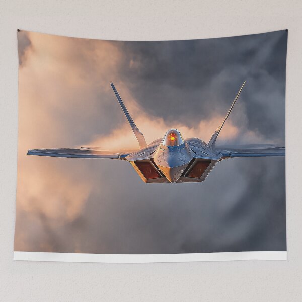 Item preview, Stealth Jet Evening Claw designed and sold by Skyframe Aviation.