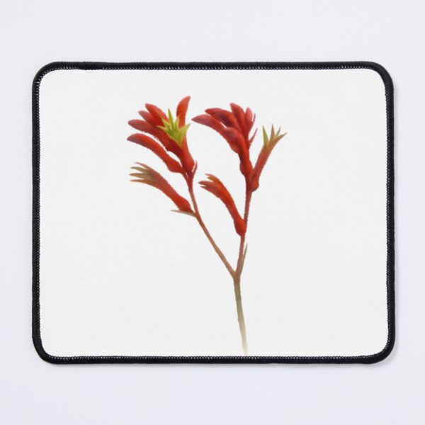 Item preview, Anigozanthos ‘Bush Ranger’ designed and sold by HOMETOWN86.