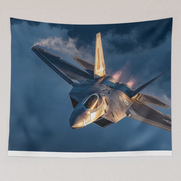 Item preview, F-22 Raptor Edge-of-Light Turn designed and sold by Skyframe Aviation.