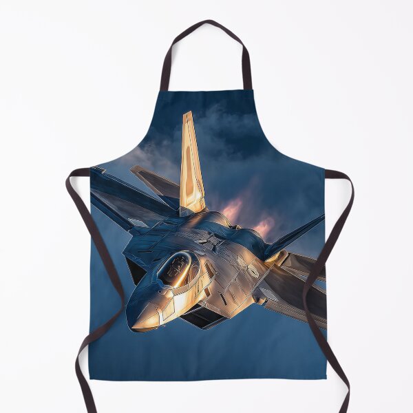 Item preview, F-22 Raptor Edge-of-Light Turn designed and sold by Skyframe Aviation.