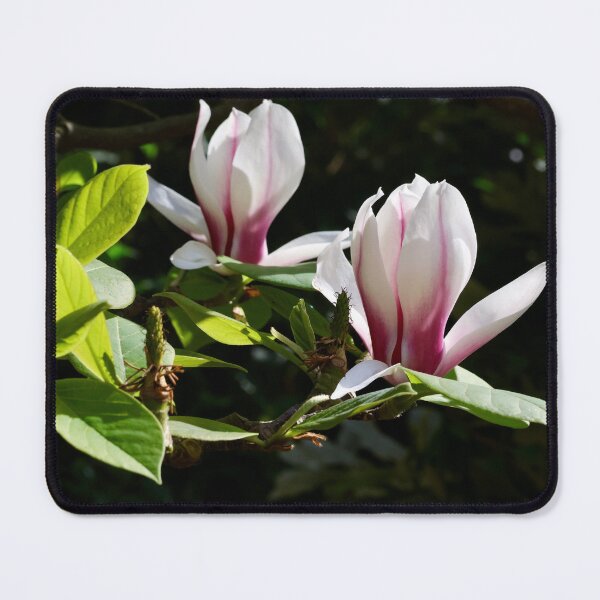 Item preview, Magnolia in Julie's Garden designed and sold by Susan Henry.