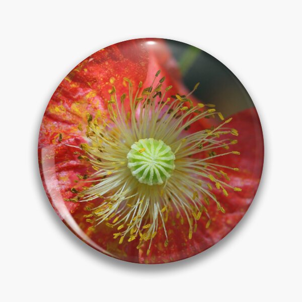 Item preview, Pretty Poppy designed and sold by Siene Browne.