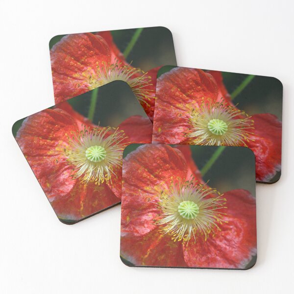 Item preview, Pretty Poppy designed and sold by Siene Browne.
