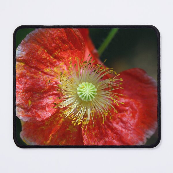 Item preview, Pretty Poppy designed and sold by Siene Browne.