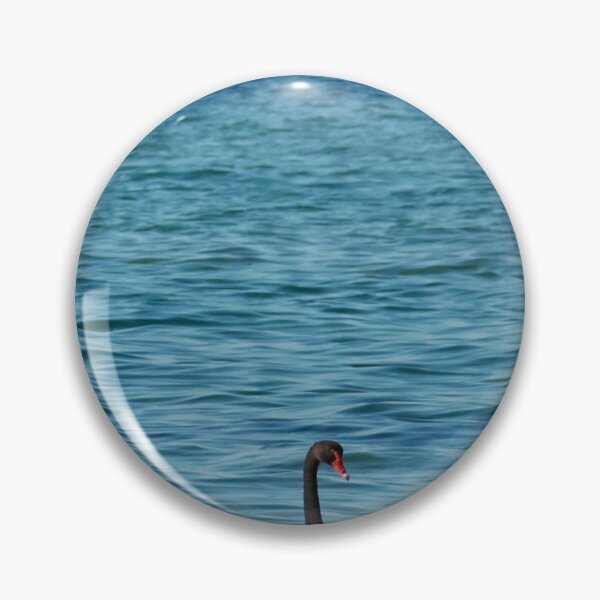 Item preview, Cisne negro en la bahía designed and sold by Susan Henry.