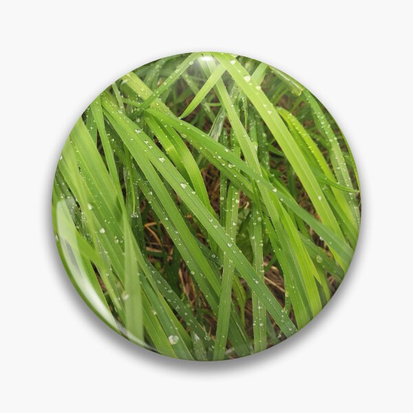 Item preview, Grass and drops of dew. Photo designed and sold by Sky-99.