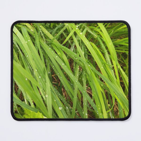 Item preview, Grass and drops of dew. Photo designed and sold by Sky-99.