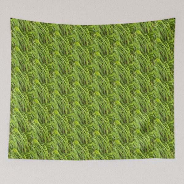 Item preview, Grass and drops of dew. Photo designed and sold by Sky-99.