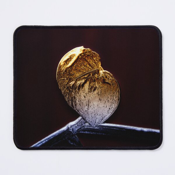 Item preview, Golden Leaf Pothos designed and sold by mavicfe.
