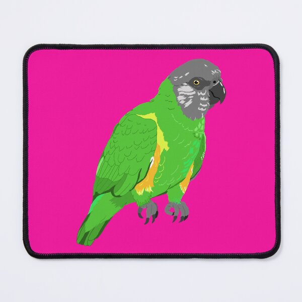Item preview, Cute Senegal Parrot designed and sold by TiffinByLK.