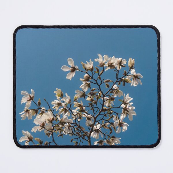 Item preview, Blossom On Blue Sky Photographic Print designed and sold by Mother-Nature65.