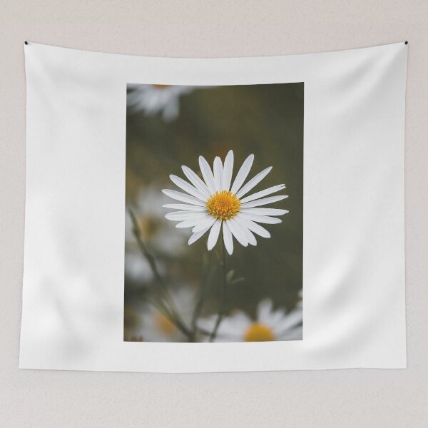 Item preview, Daisy Close Up Photographic Print designed and sold by Mother-Nature65.