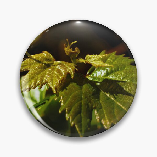 Item preview, Young Grape Leaves designed and sold by mavicfe.