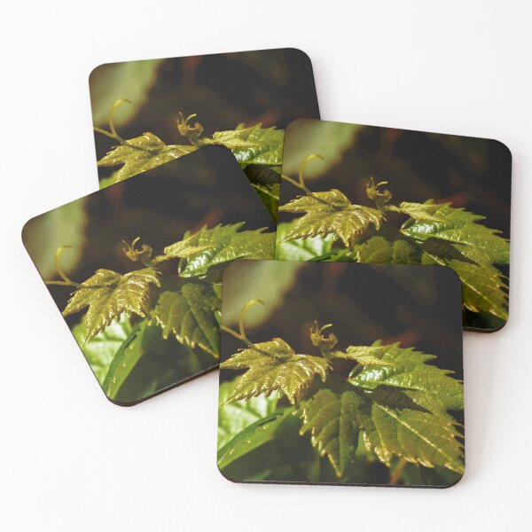Item preview, Young Grape Leaves designed and sold by mavicfe.
