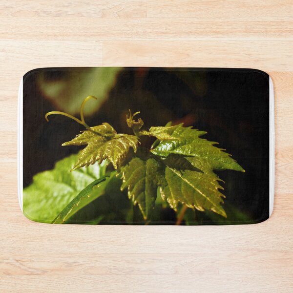 Item preview, Young Grape Leaves designed and sold by mavicfe.