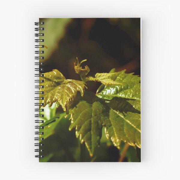 Item preview, Young Grape Leaves designed and sold by mavicfe.