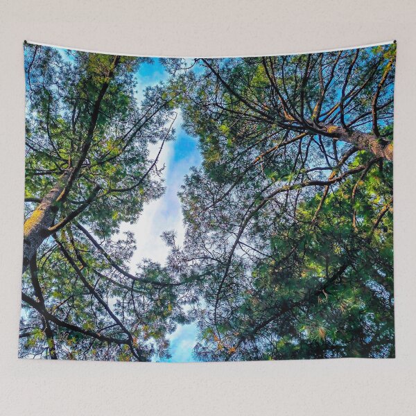 Item preview, Looking Up at the Pines in Rosalind Park - Bendigo, Victoria, Australia designed and sold by Steven Jodoin.