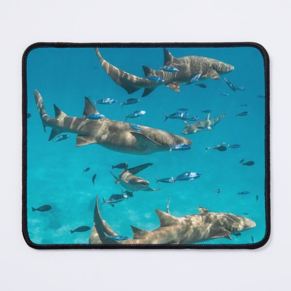 Item preview, A Shiver Of Sharks Photographic Print designed and sold by Mother-Nature65.