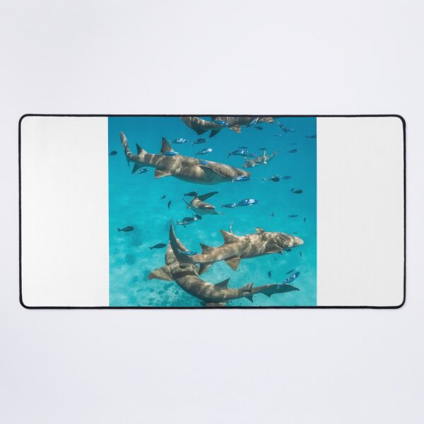 Item preview, A Shiver Of Sharks Photographic Print designed and sold by Mother-Nature65.