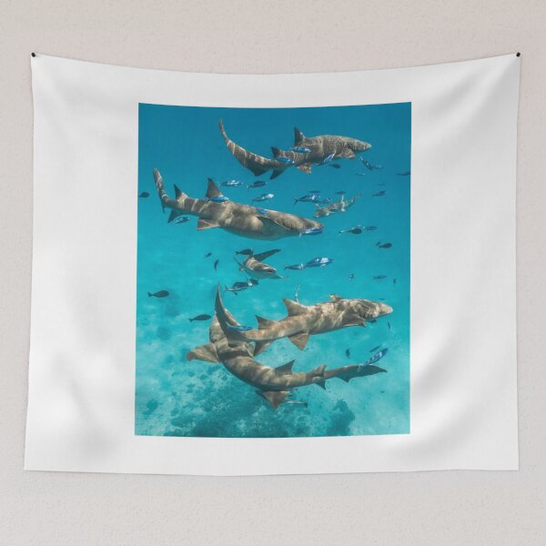 Item preview, A Shiver Of Sharks Photographic Print designed and sold by Mother-Nature65.