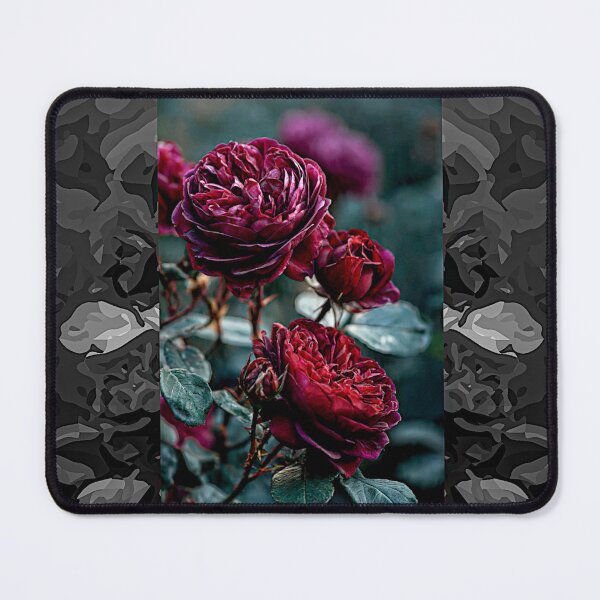 Item preview, Astrid Grafin von Hardenberg Roses designed and sold by Helios Be. Lavsh.