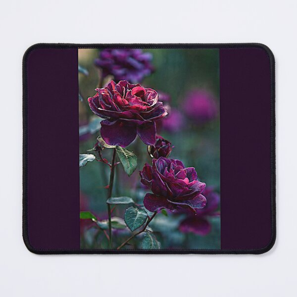 Item preview, Astrid Grafin von Hardenberg Roses#1 designed and sold by Helios Be. Lavsh.