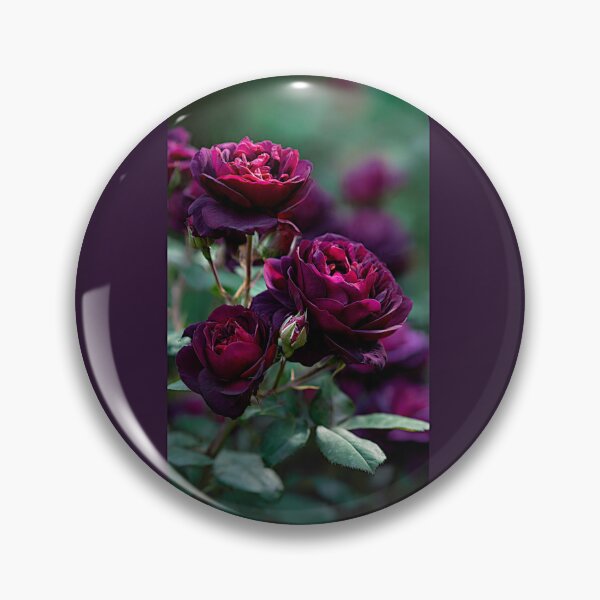 Item preview, Astrid Grafin von Hardenberg Roses#2 designed and sold by Helios Be. Lavsh.