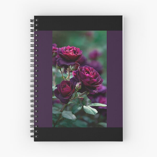 Item preview, Astrid Grafin von Hardenberg Roses#2 designed and sold by Helios Be. Lavsh.