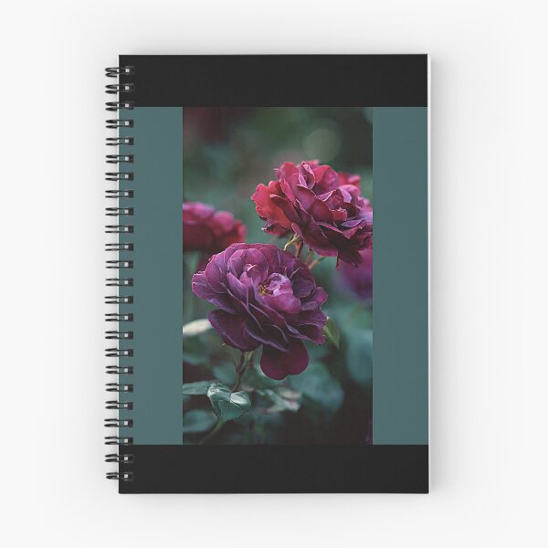 Item preview, Astrid Grafin von Hardenberg Roses#3 designed and sold by Helios Be. Lavsh.