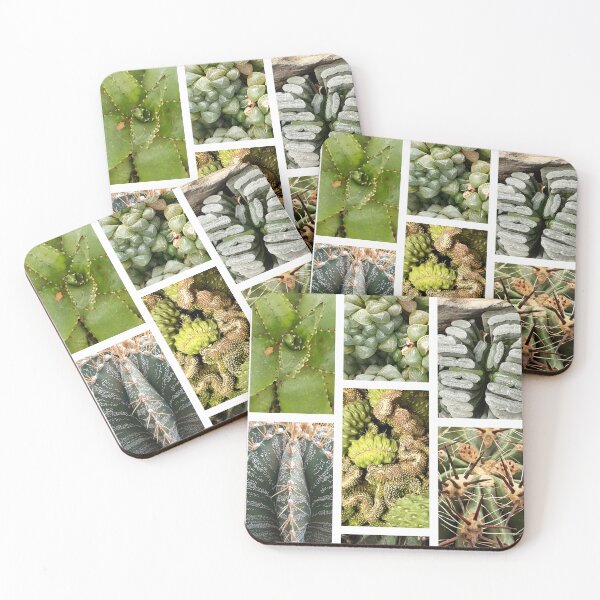 Item preview, Collection - Cacti designed and sold by Kacharava.
