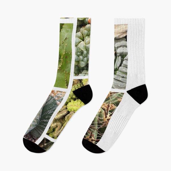 Item preview, Collection - Cacti designed and sold by Kacharava.