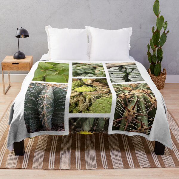 Item preview, Collection - Cacti designed and sold by Kacharava.
