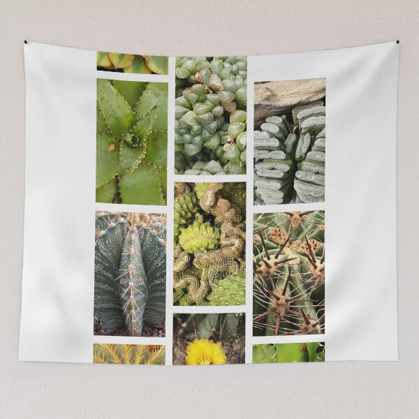 Item preview, Collection - Cacti designed and sold by Kacharava.