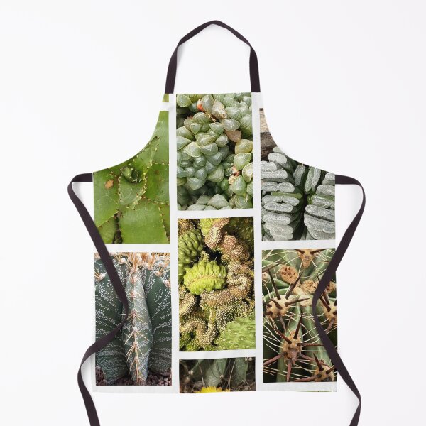 Item preview, Collection - Cacti designed and sold by Kacharava.