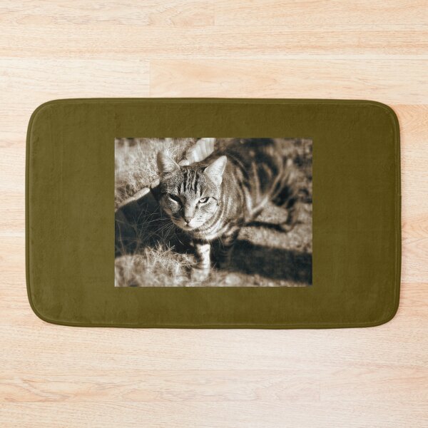 Item preview, Sepia cat!! designed and sold by Alan-David.
