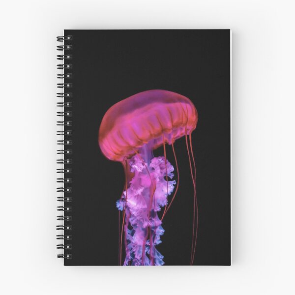 Item preview, "Sonic Landscapes That Transcend Genre" designed and sold by nanyavig.