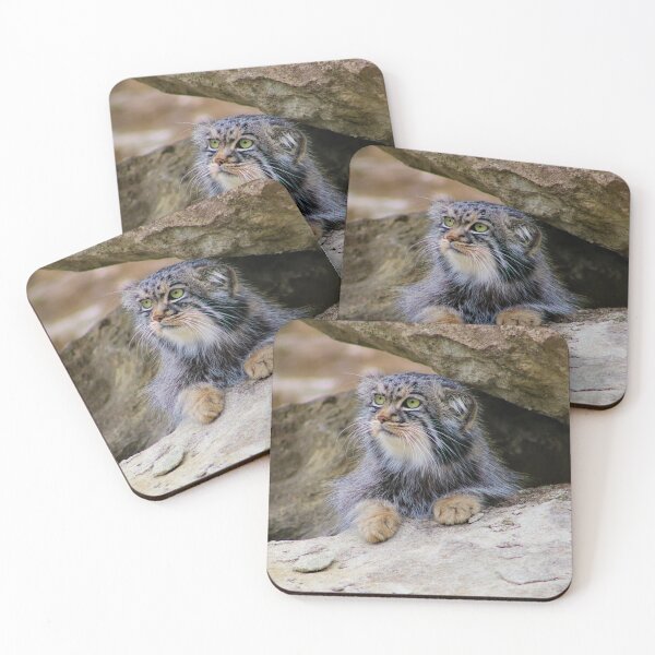 Item preview, Pallas Cat In The Rocks designed and sold by GBrightAnimals.